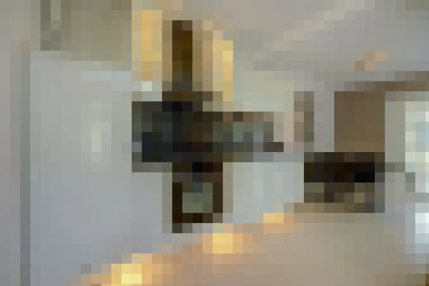 1e Oostdijkweg 6 Oostdijk thumbnail 18