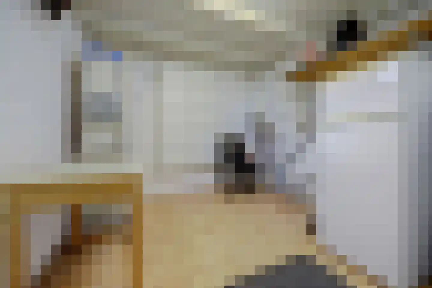 1e Oostdijkweg 6 Oostdijk thumbnail 20
