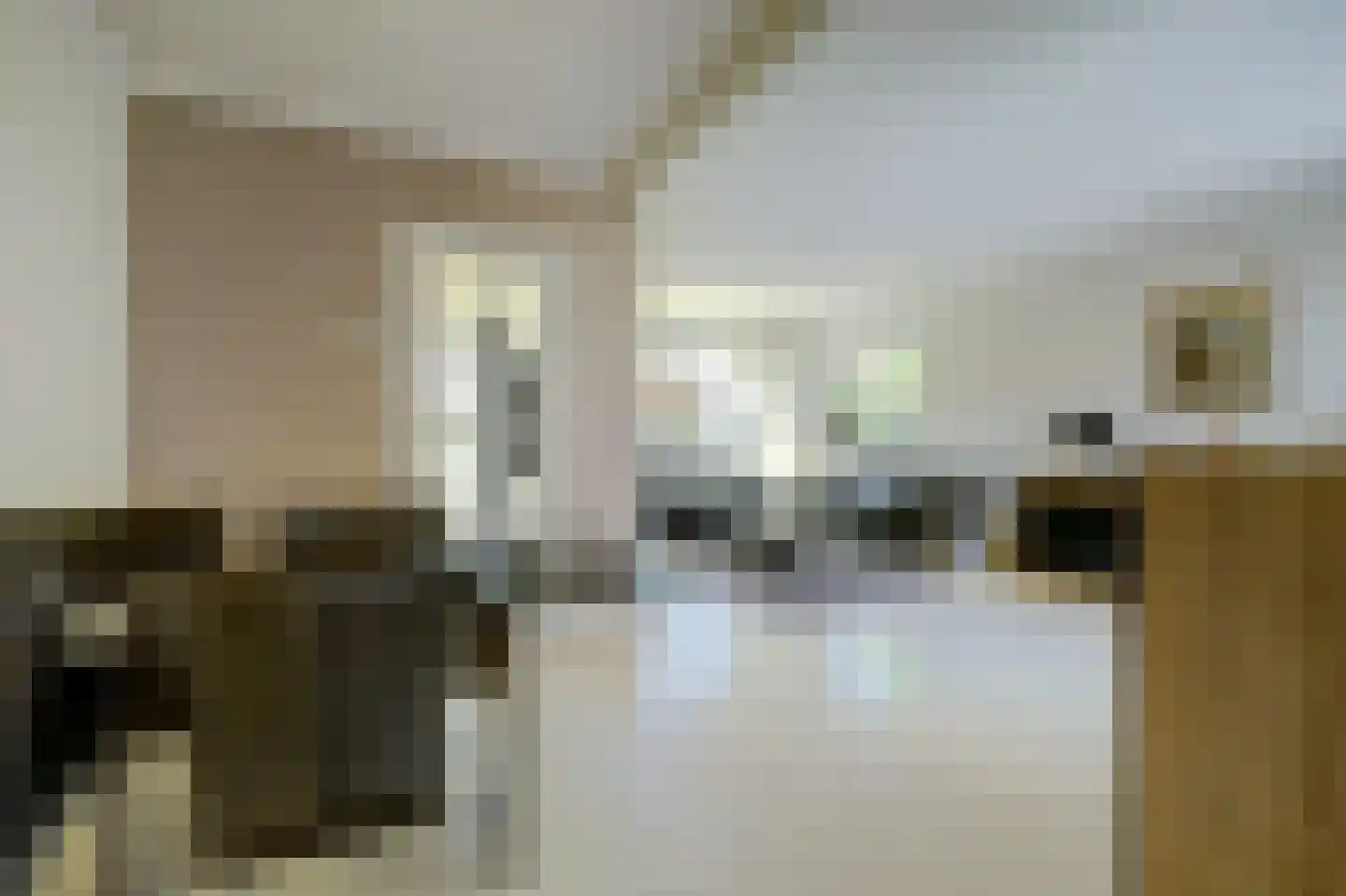 1e Oostdijkweg 6 Oostdijk thumbnail 20