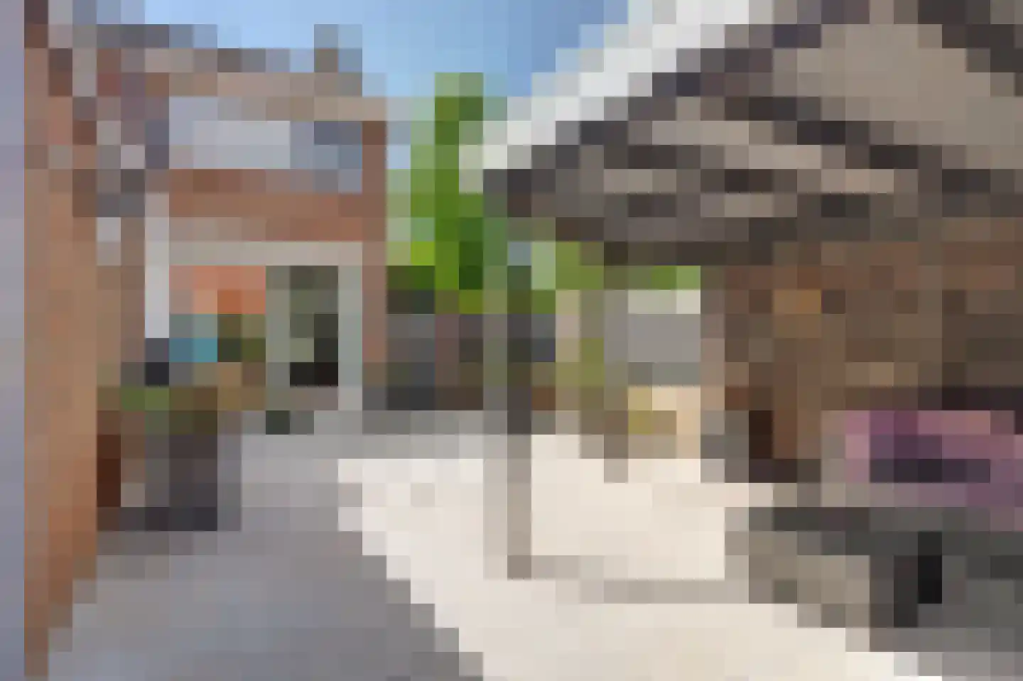 1e Oostdijkweg 6 Oostdijk thumbnail 34