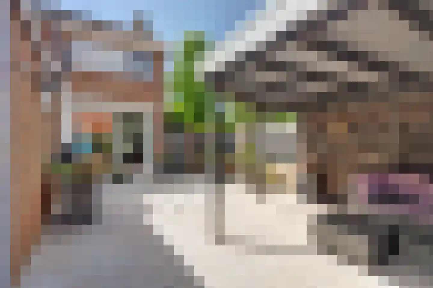 1e Oostdijkweg 6 Oostdijk thumbnail 35