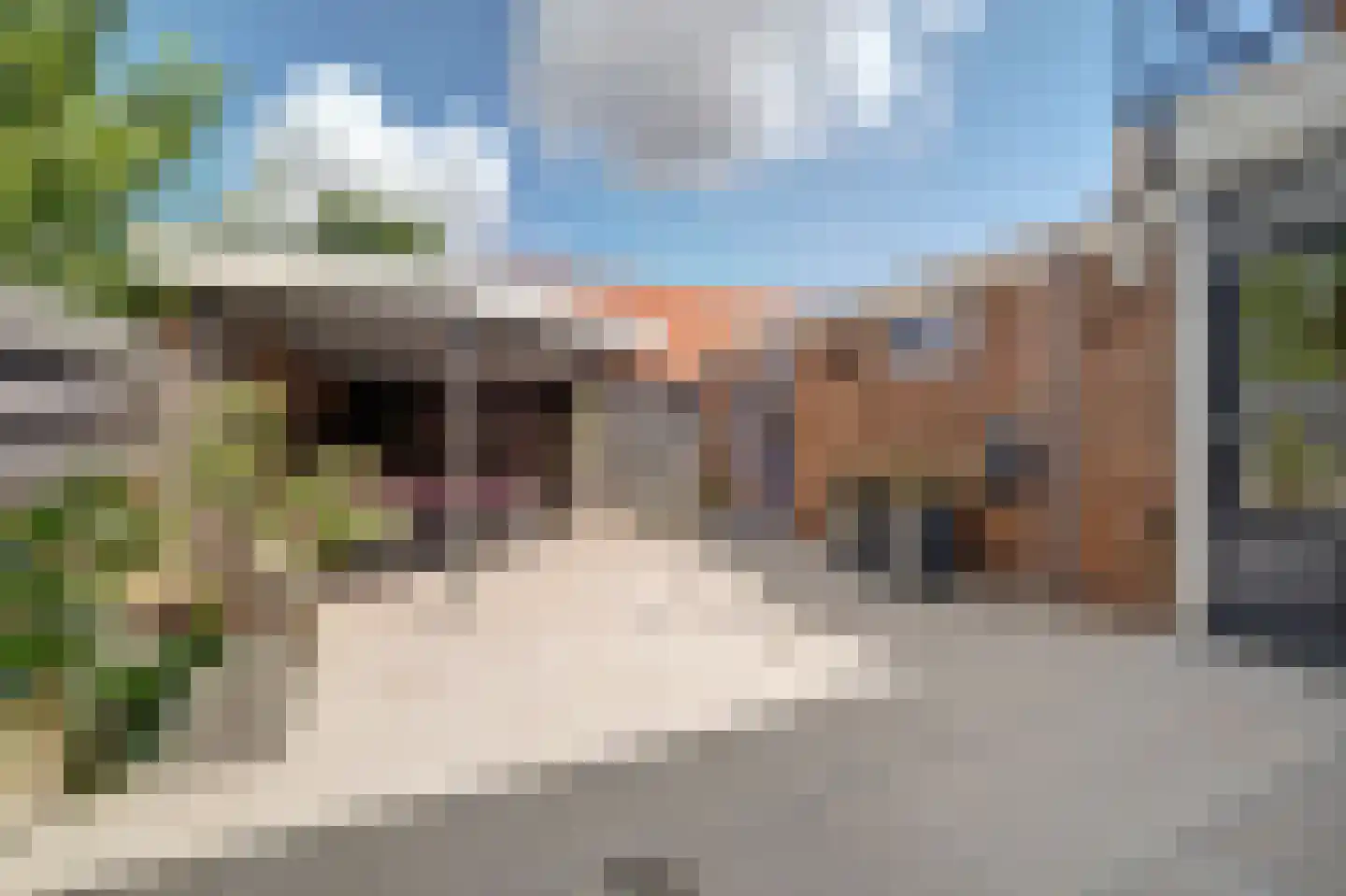 1e Oostdijkweg 6 Oostdijk thumbnail 36