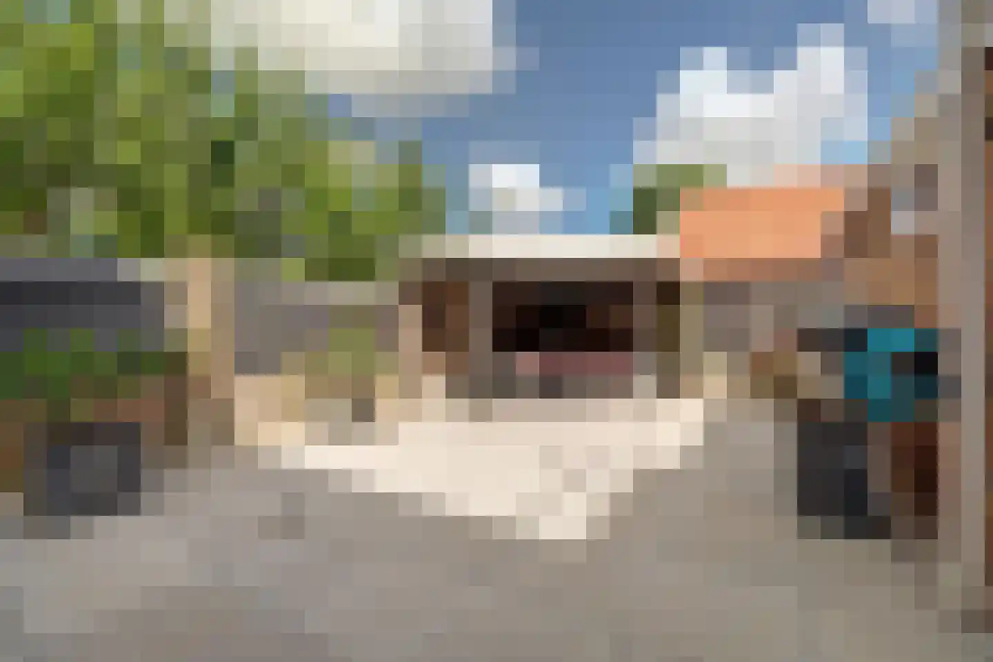 1e Oostdijkweg 6 Oostdijk thumbnail 37
