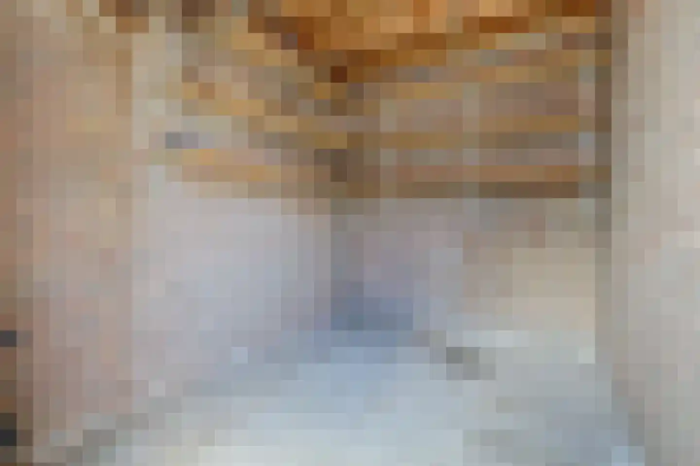 1e Oostdijkweg 6 Oostdijk thumbnail 38