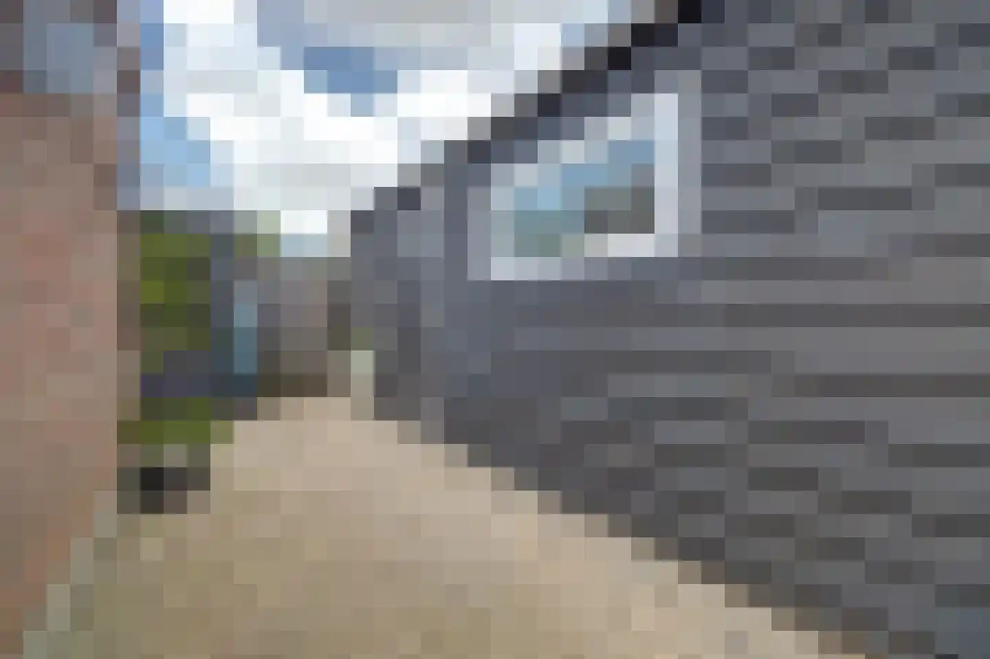 1e Oostdijkweg 6 Oostdijk thumbnail 39