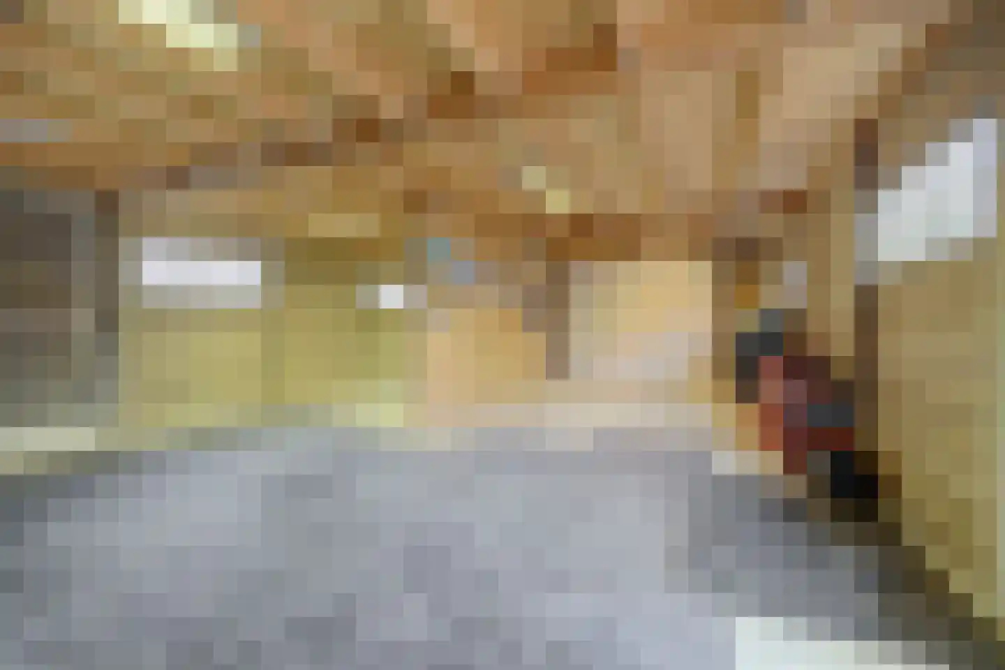1e Oostdijkweg 6 Oostdijk thumbnail 45