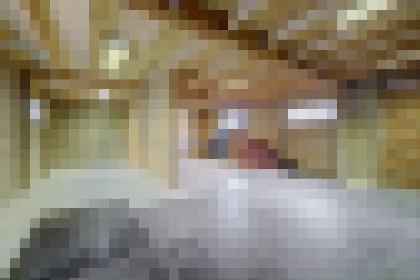 1e Oostdijkweg 6 Oostdijk thumbnail 46