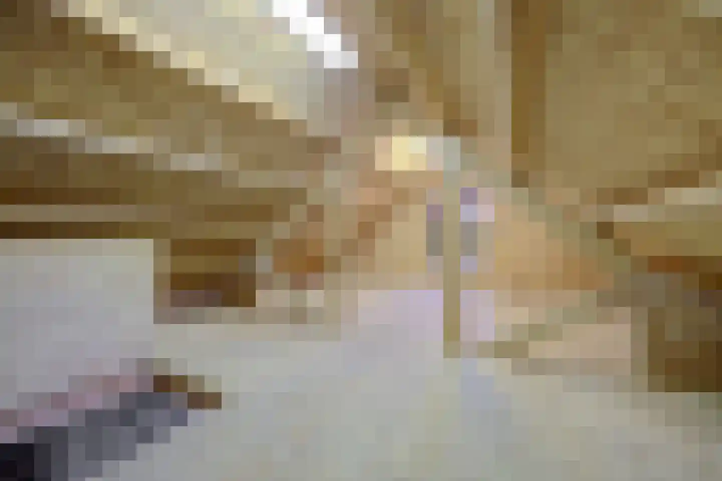 1e Oostdijkweg 6 Oostdijk thumbnail 48