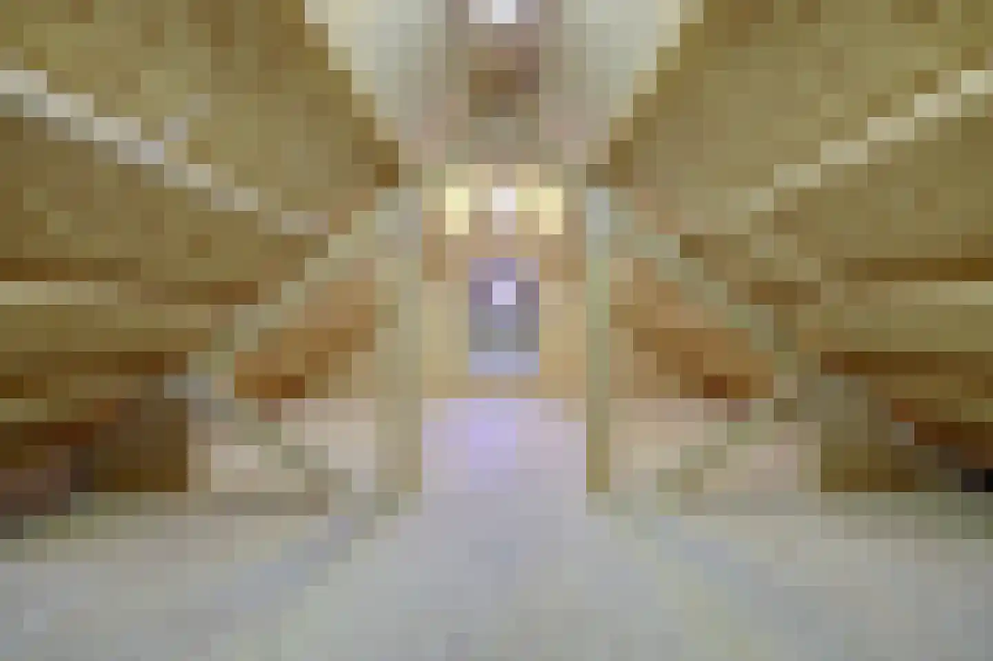 1e Oostdijkweg 6 Oostdijk thumbnail 49