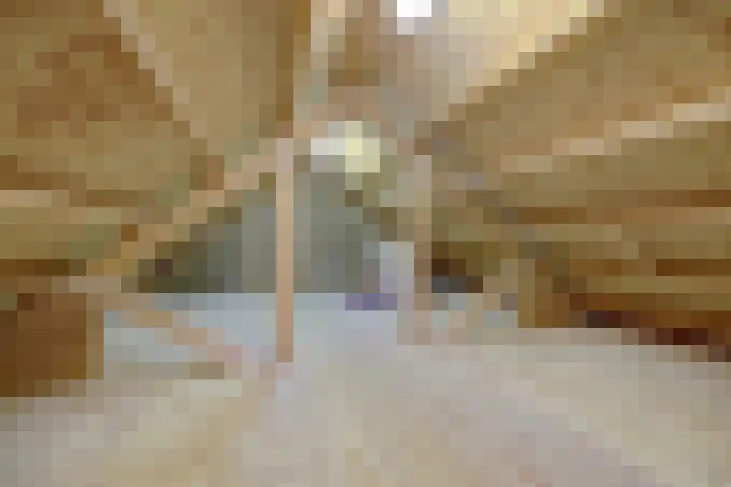 1e Oostdijkweg 6 Oostdijk thumbnail 50