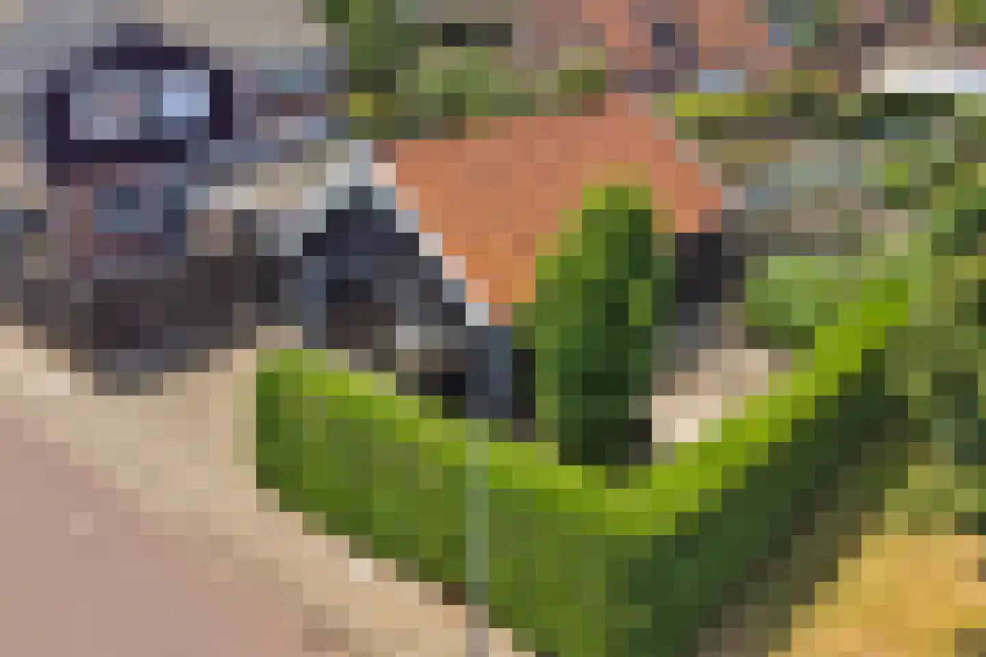 1e Oostdijkweg 6 Oostdijk thumbnail 53