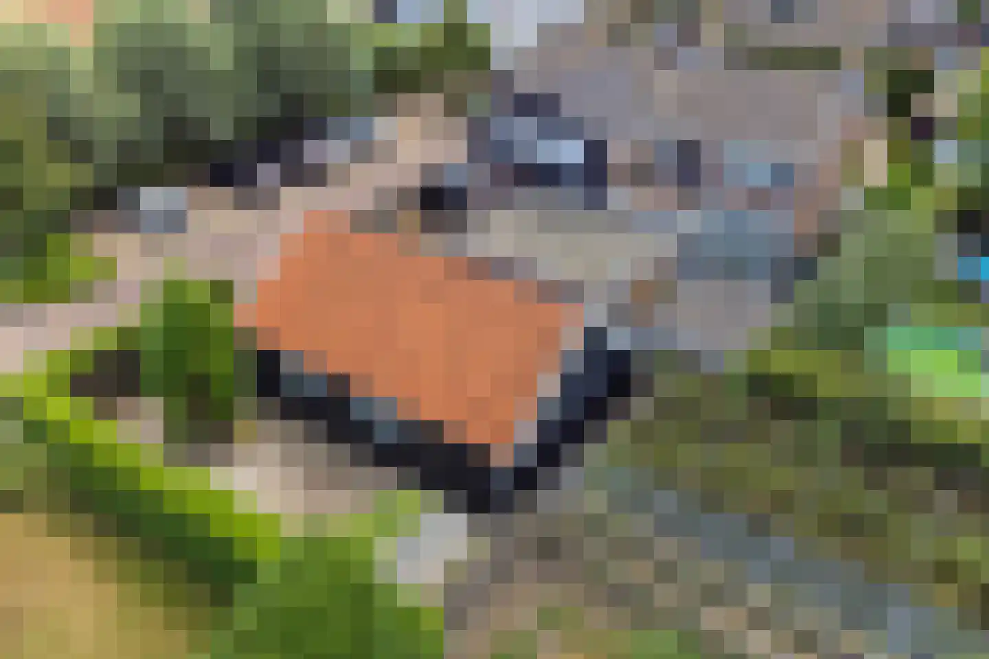 1e Oostdijkweg 6 Oostdijk thumbnail 56