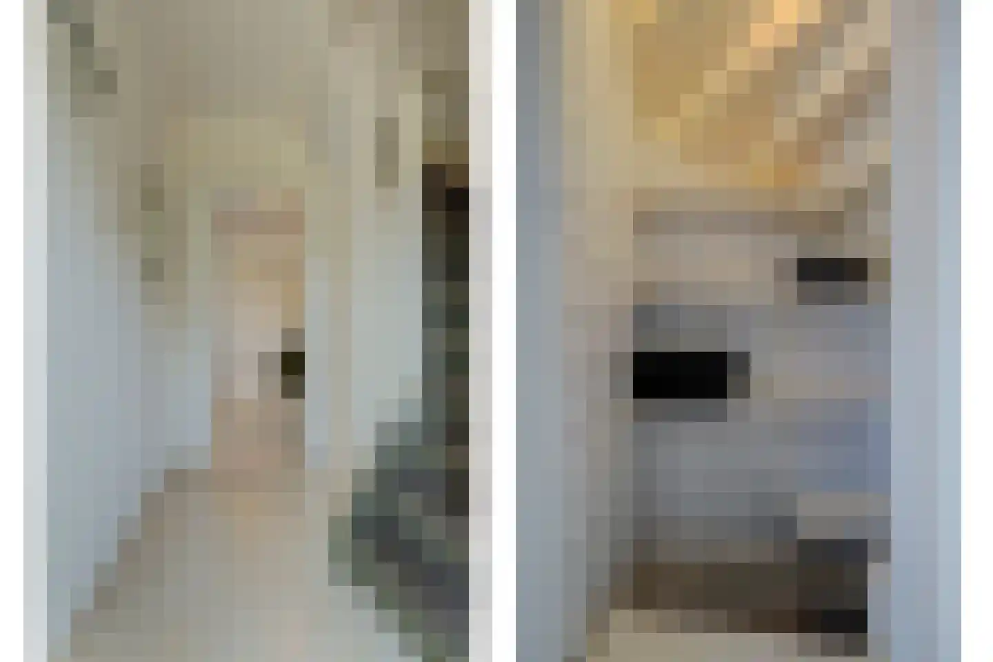 1e Oostdijkweg 6 Oostdijk thumbnail 6