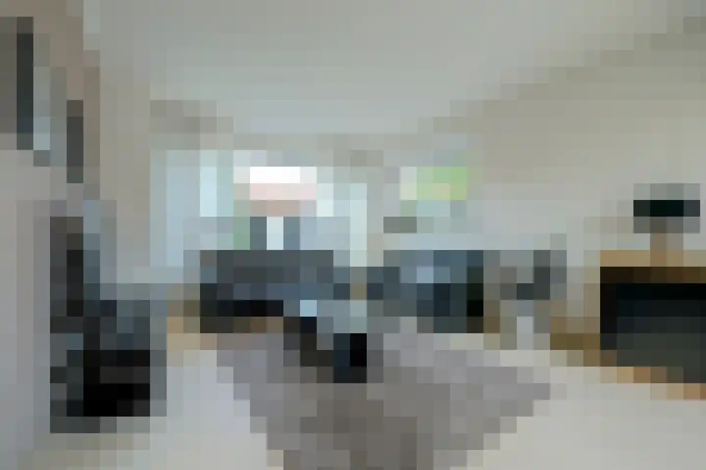 1e Oostdijkweg 6 Oostdijk thumbnail 9