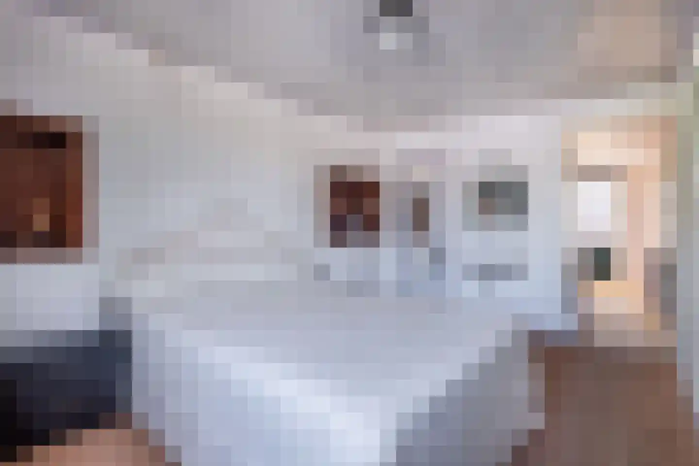 1e Oosterkade 22 Sneek thumbnail 43