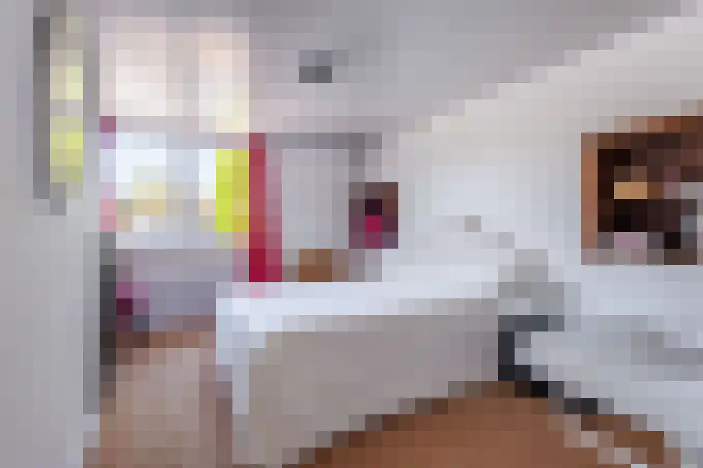 1e Oosterkade 22 Sneek thumbnail 44