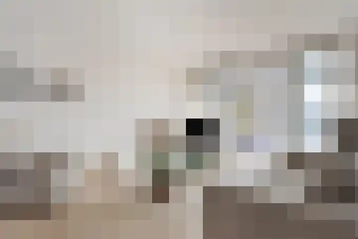 1e Oosterkade 31 Sneek thumbnail 12