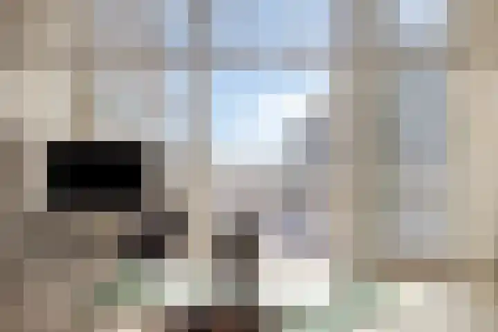 1e Oosterkade 31 Sneek thumbnail 13