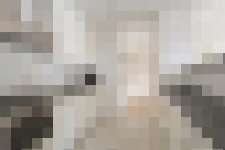 1e Oosterkade 31 Sneek thumbnail 33