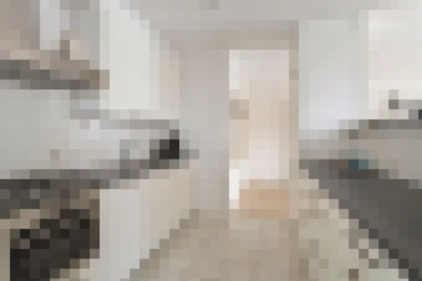 1e Oosterkade 31 Sneek thumbnail 34