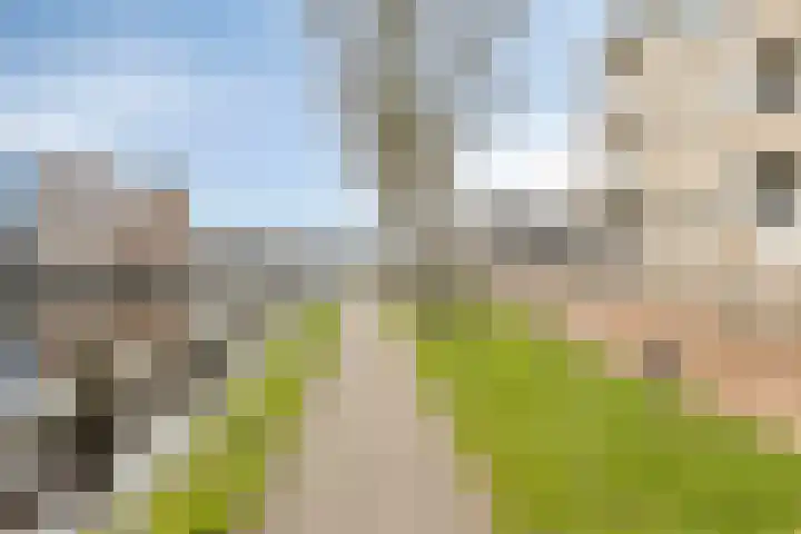 1e Oosterkade 31 Sneek thumbnail 48