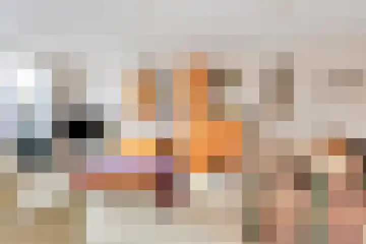 1e Oosterkade 34 Sneek thumbnail 9