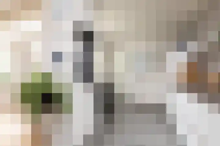 1e Oosterkade 49 Sneek thumbnail 13