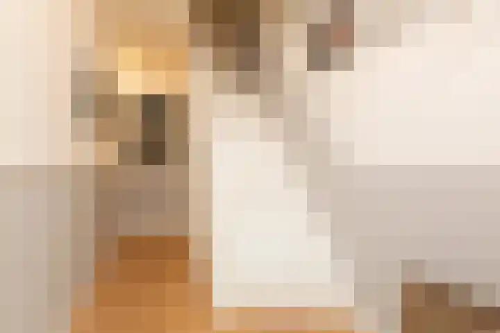 1e Oosterkade 49 Sneek thumbnail 19