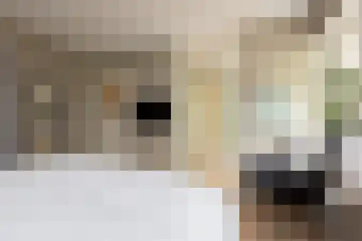 1e Oosterkade 49 Sneek thumbnail 28