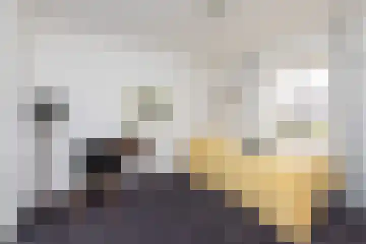 1e Oosterkade 49 Sneek thumbnail 30