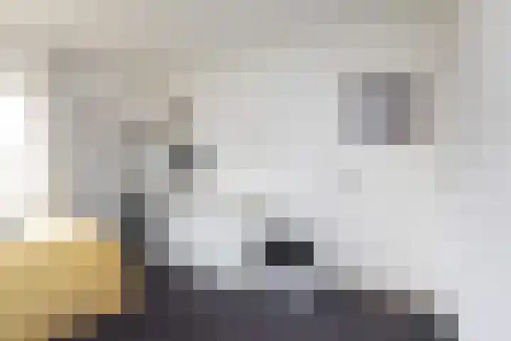 1e Oosterkade 49 Sneek thumbnail 31
