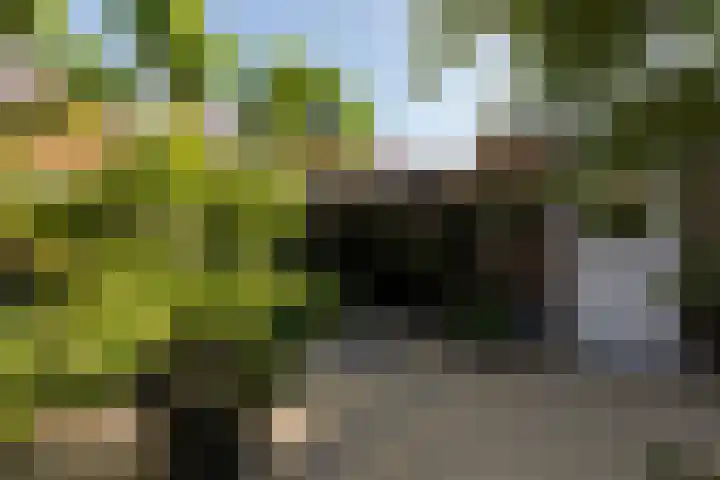 1e Oosterkade 49 Sneek thumbnail 39