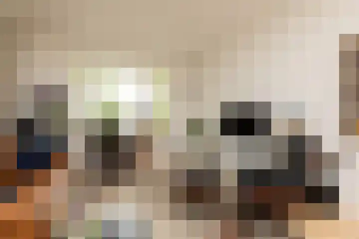 1e Oosterkade 49 Sneek thumbnail 4