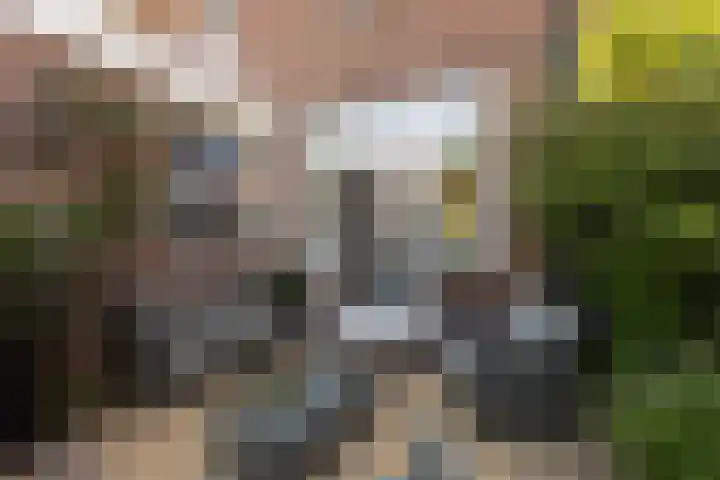 1e Oosterkade 49 Sneek thumbnail 41