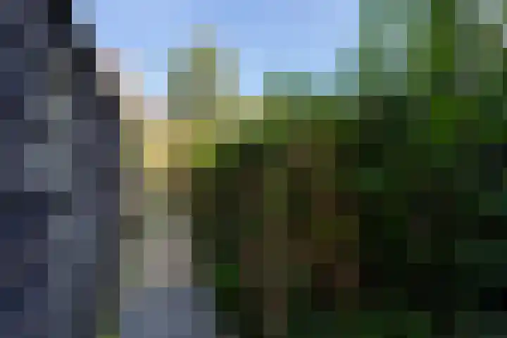 1e Oosterkade 49 Sneek thumbnail 44