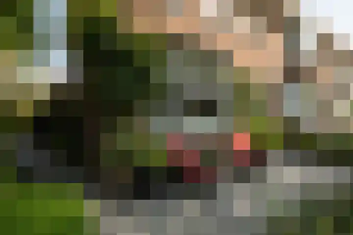 1e Oosterkade 49 Sneek thumbnail 45