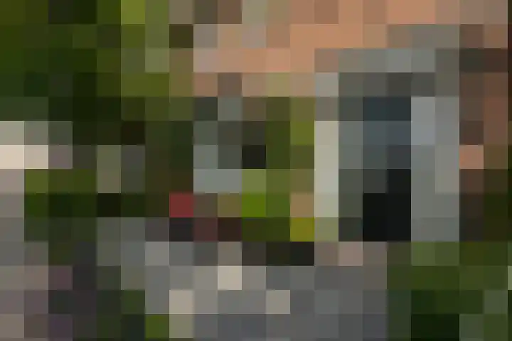 1e Oosterkade 49 Sneek thumbnail 49