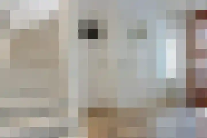 1e Oosterkade 55 Sneek thumbnail 18