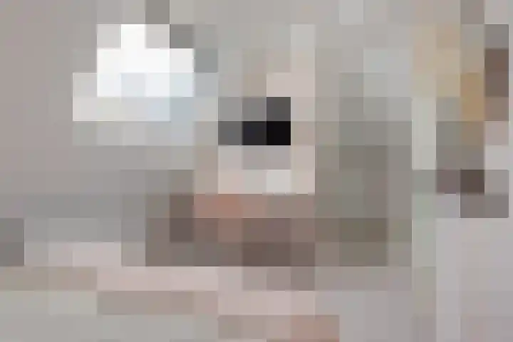 1e Oosterkade 55 Sneek thumbnail 37