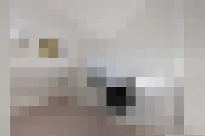 1e Oosterkade 55 Sneek thumbnail 41