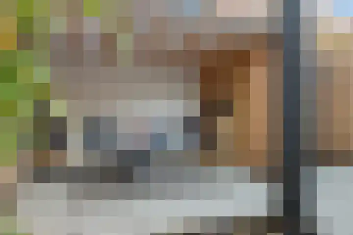 1e Oosterkade 55 Sneek thumbnail 44
