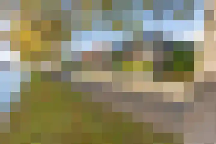 1e Oosterkade 55 Sneek thumbnail 53