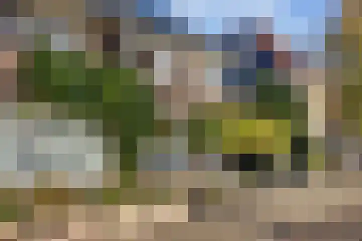 1e Oosterkade 55 Sneek thumbnail 55