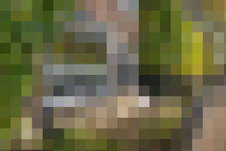 1e Oosterkade 55 Sneek thumbnail 56