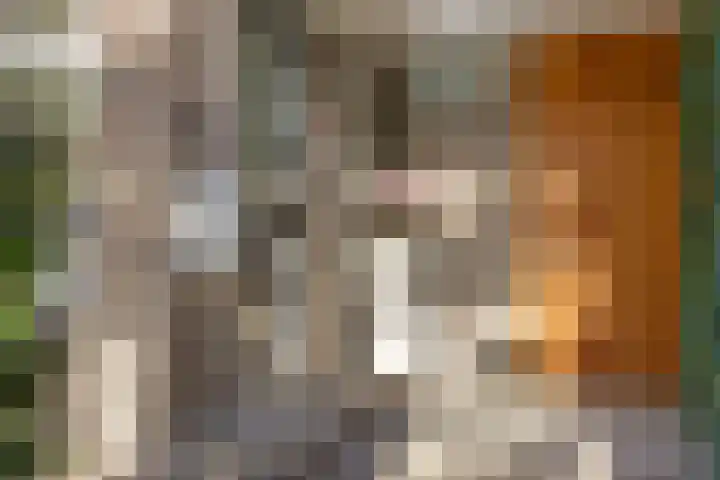 1e Oosterkade 55 Sneek thumbnail 58