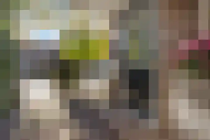 1e Oosterkade 55 Sneek thumbnail 61