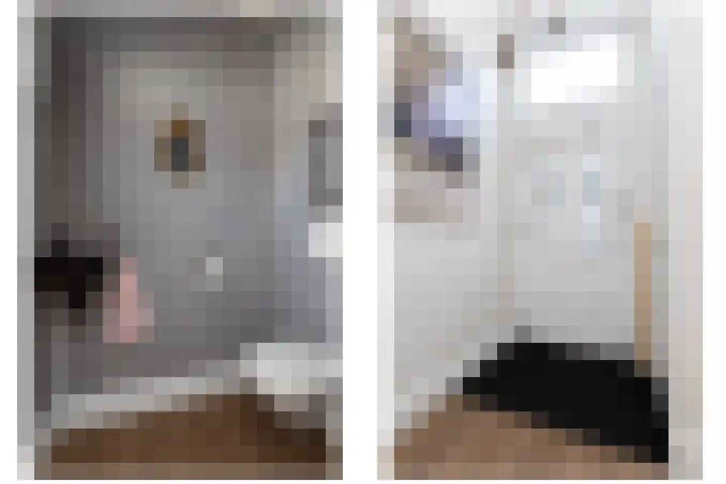1e Oosterkade 6 Sneek thumbnail 14