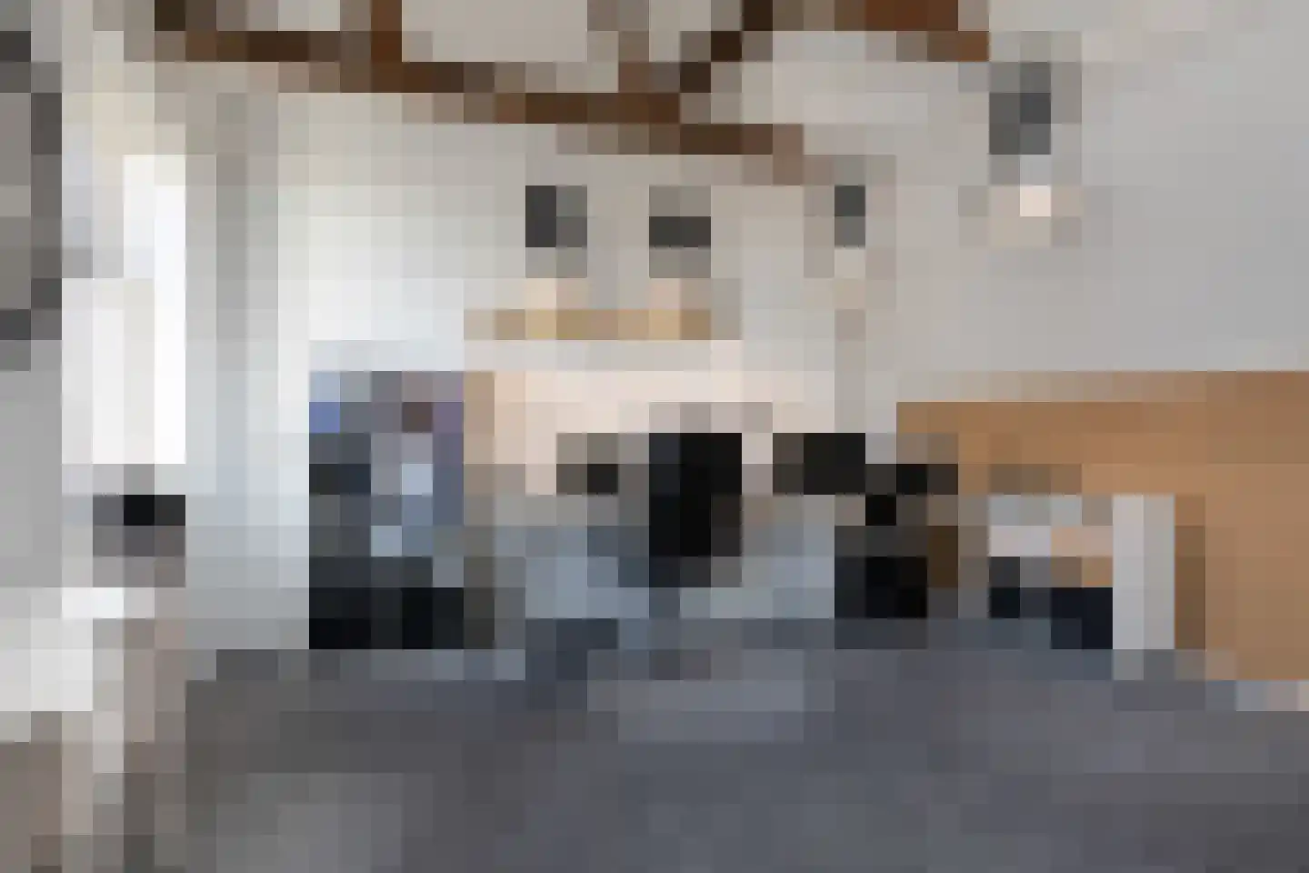 1e Oosterkade 6 Sneek thumbnail 37