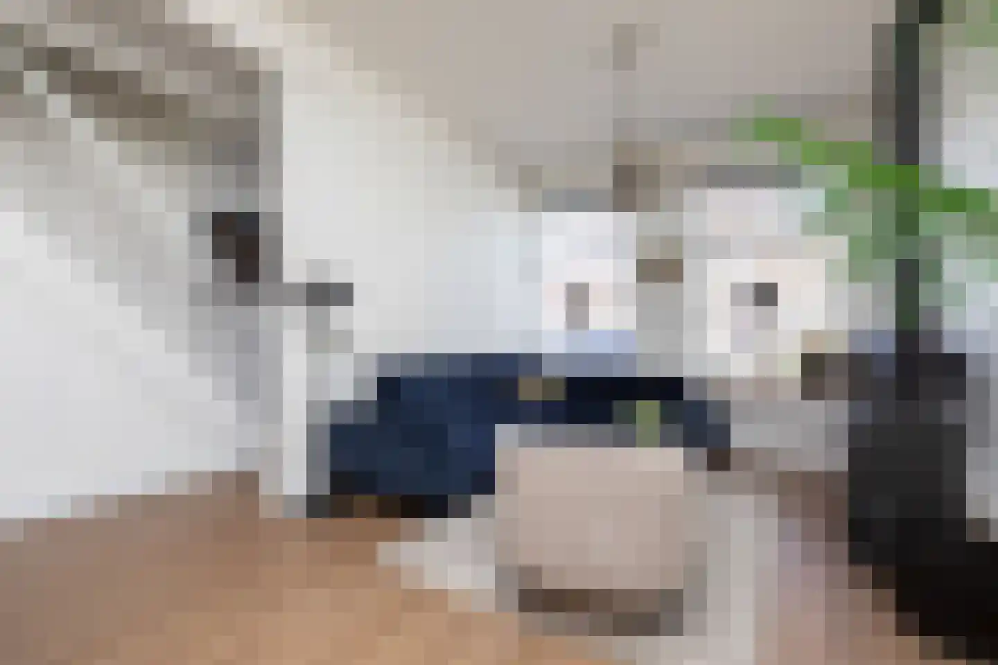 1e Oosterkade 6 Sneek thumbnail 6