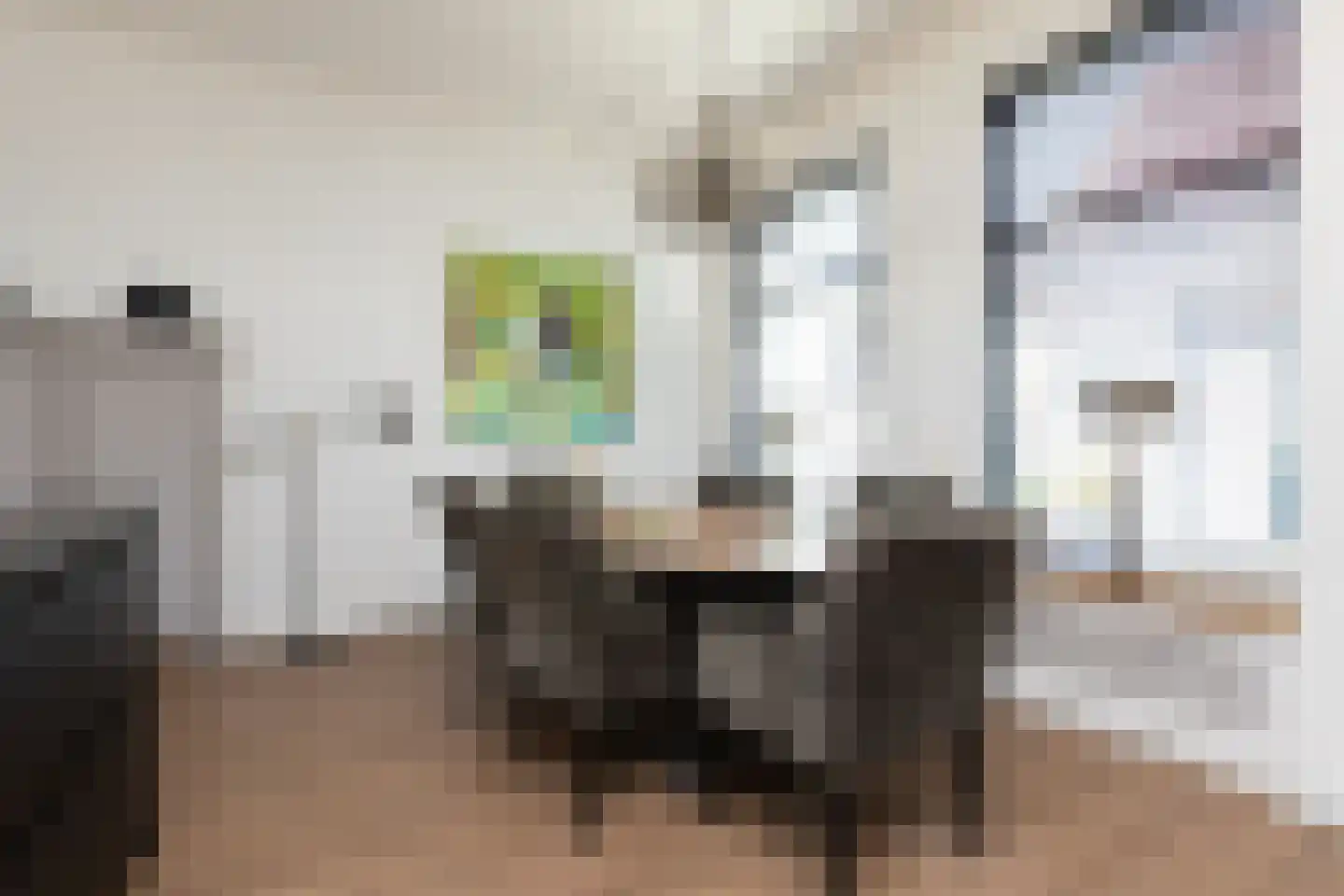 1e Oosterkade 6 Sneek thumbnail 8
